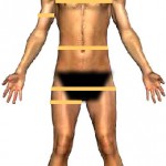 body-measure